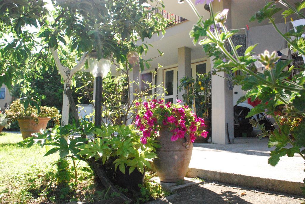 Parte Di Casa Con Giardino E Piscina Villa ปิเอตราซานตา ภายนอก รูปภาพ